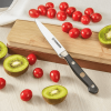 4-inch Paring Knife - Small Kitchen Knife Full Tang for Chopping, Slicing, Paring and Cutting Fruit Vegetable - Steinbrucke