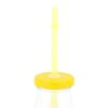 Biggdesign Cats Lemonade Glass Bottle 320 ml Yellow - Yellow