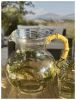 3 Quarts Water Pitcher with Lid, Palm Tree Design Unbreakable Plastic Pitcher, Drink Pitcher, Juice Pitcher with Spout BPA Free - as Pic