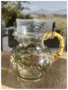 3 Quarts Water Pitcher with Lid, Palm Tree Design Unbreakable Plastic Pitcher, Drink Pitcher, Juice Pitcher with Spout BPA Free - as Pic